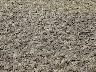 texture of the ground