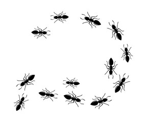 Ant Logo template vector illustration