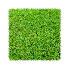 Green grass. Natural texture background. Fresh spring green grass. isolated on white background.