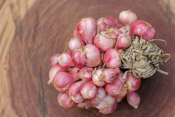 Shallots still on wood background