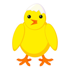 Colorful cartoon chick with shell on head