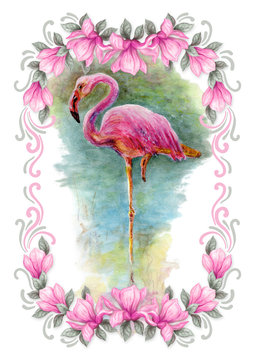 Hand drawn painting watercolor pencils and paints pink magnolia flowers frame and flamingo isolated on white background
