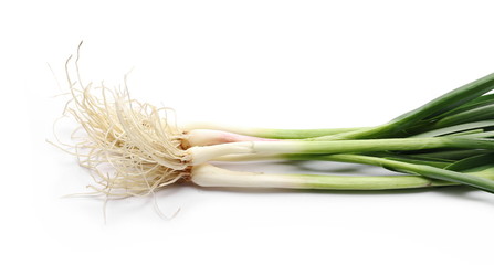 Young garlic isolated on white background