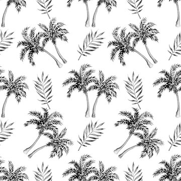 Black and white tropical seamless pattern. Palm trees and leaves on white background. Watercolor illustration.