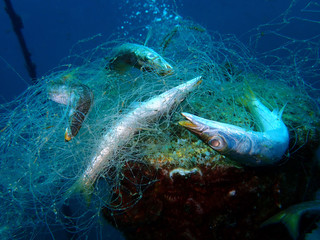 Ghost nets are commercial fishing nets that have been lost, abandoned, or discarded at sea in Tunku Abdul Rahman Park, Kota Kinabalu. Sabah, Malaysia, Borneo.