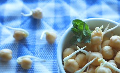 Sprouted chickpea grains lie on a blue napkin. A healthy lifestyle offers the use of cereal sprouts. Selective focus 