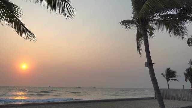 The wind blows on the palm trees in a tropical beach during a beautiful sunset. 4K Resolution