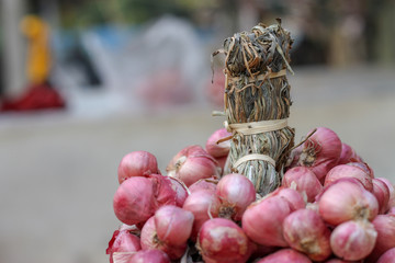 Shallots still on wood background