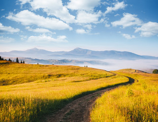 Fototapeta na wymiar Misty alpine highlands in sunny day. Location Carpathian national park, Ukraine, Europe.
