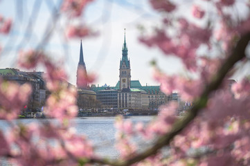 Hamburg Alster Kirschblüte / Cherry Blossom 