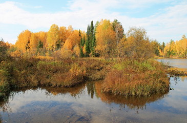 autumn landscape with lake and trees