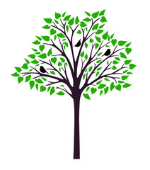 Obraz premium Vector isolated tree on white background. Silhouette graphic for cutting.