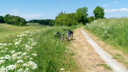 Naklejka na ściany i meble bicycle in a field