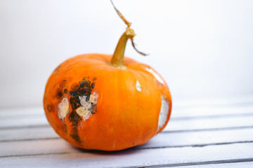 Pumpkin ugly with rot on white wood background