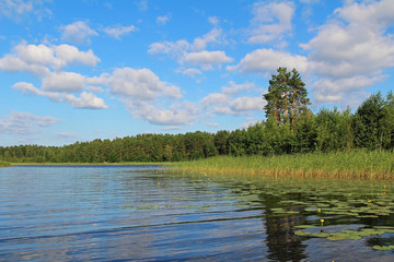 Fantastic landscape with water lilies on a forest lake. Unusual and picturesque scene. Russia.