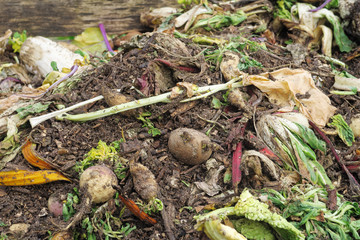 compost 