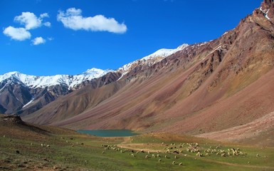 landscape in the mountains