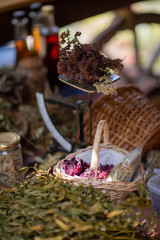herbalist workshop