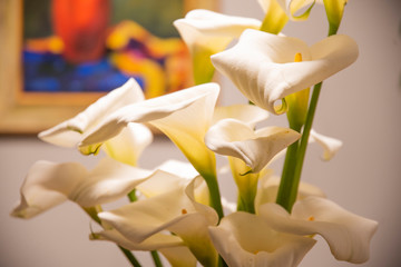 lILIES IN AN INTENTIONAL AND DECORATIVE SPACE OF A HOME LOVER OF THE FLOWERS
