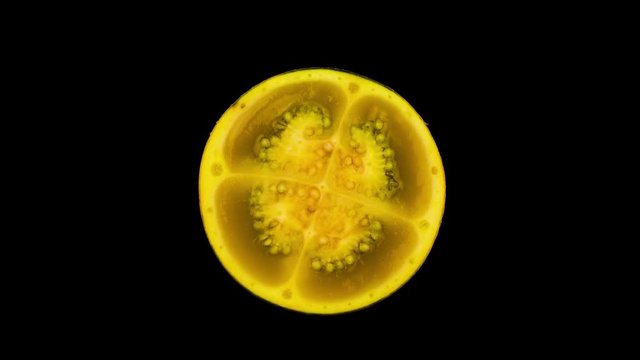 Top view of a solanum quitoense naranjilla fruit sliced in half rotating on the turntable, isolated on the black background.