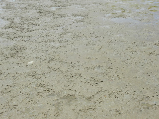 Flowing wet mud in wetlands texture