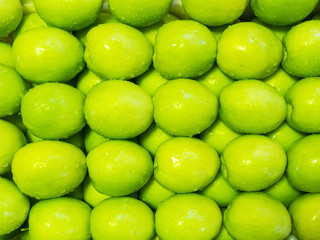 Rows of jujube. Monkey apple with water drops on surface.