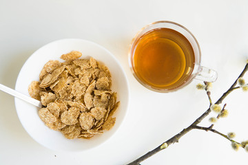 Corn flakes isolated with branch of pussy-willow
