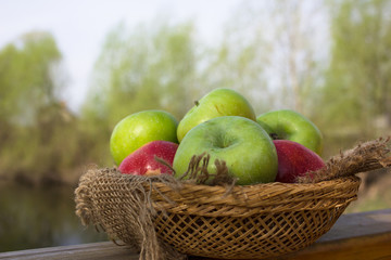 Apple harvest. Ripe green apples in the basket 