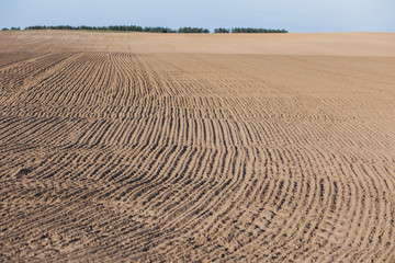 Plowed soil