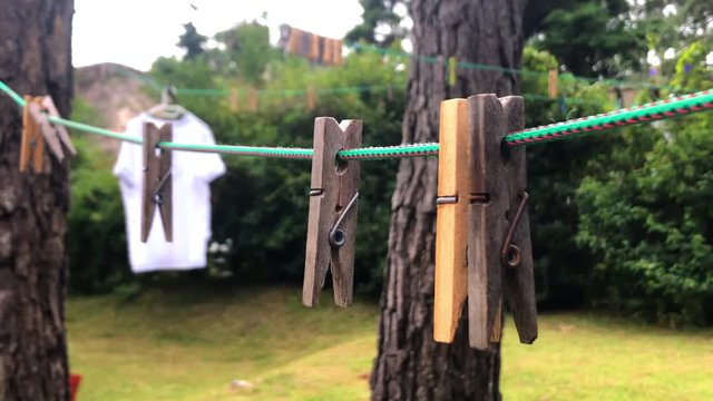 Old Wooden Washing Pegs on Green Washing Line Between Pine Trees Swaying in the Wind