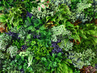 artificial plastic flower and leaf tree in garden