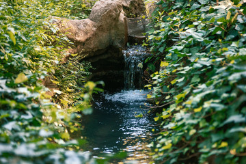Botanical Garden in Buenos Aires