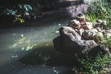 Obraz premium Botanical Garden in Buenos Aires