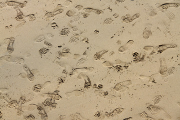Random footsteps on a sandy beach