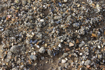 Close up of small pebbles on a beach