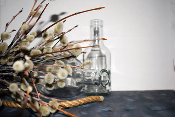 willow Branches. Easter holiday. Empty container under water. Glass bottle.