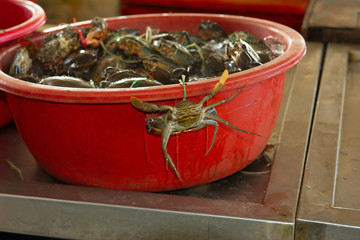 Malaysia. island of Borneo. Freshly caught fish and seafood at the fish market in Sandakan.