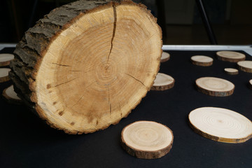 Pine tree cross-sections with annual rings on black background. Lumber piece close-up shot.