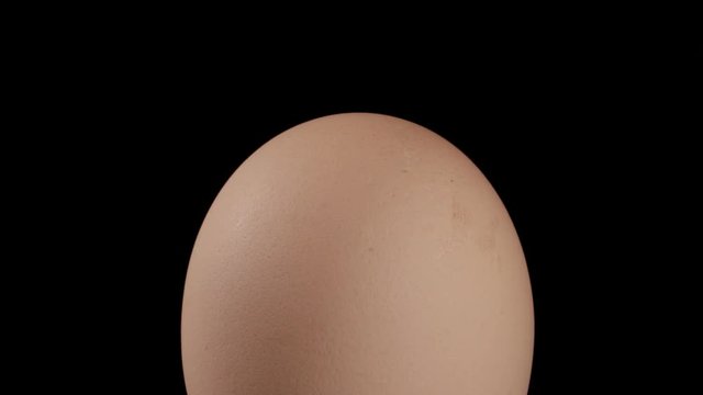 Close-up, whole brown egg on the rotating surface on the black background, upright position