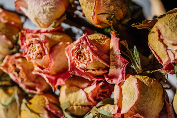 dried roses flower head