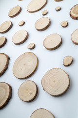 Pine tree cross-sections with annual rings on plane white surface. Lumber piece close-up.