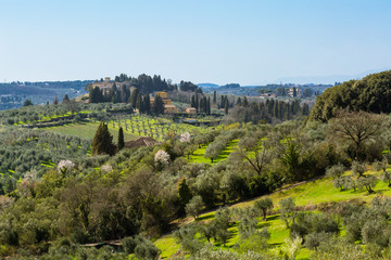 Fototapeta na wymiar View from San Casciano. Italian region Tuscany, southwest of Florence. Val di Pesa, highly renowned for the production of wine and olive oil.