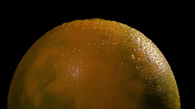 Macro shooting of a solanum quitoense naranjilla fruit rotating on the turntable. Close-up view of naranjilla fruit skin in drops of water on the black background, soft light and shadows
