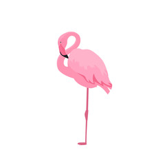 Pink flamingo stands on thin legs on a white background. Trendy summer design.