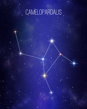 Camelopardalis the giraffe constellation on a starry space background. Stars relative sizes and color shades based on their spectral type.