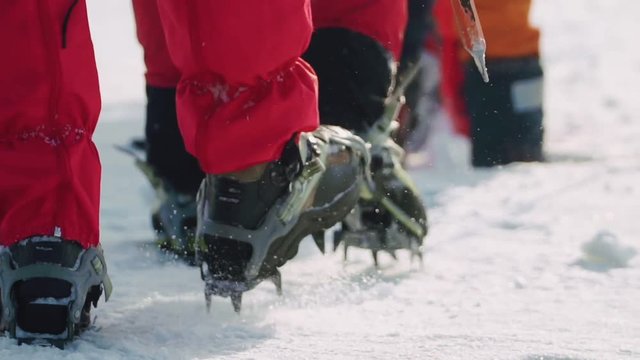 close-up of the feet of climbers who walk on thick snow in snowshoes. the team goes together along one path, helping themselves with ski poles.