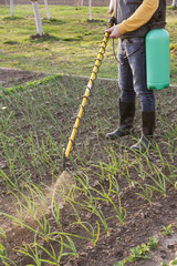 Agricultural worker with spraying equipment in the garden.