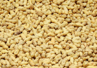 Peanuts in shell texture background