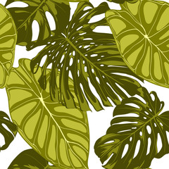 Tropical Leaves. Seamless Pattern with Hand Drawn Leaves of Monstera and Alocasia. Exotic Rapport for Textile, Fabric. Vector Seamless Background with Tropic Plants. Jungle Foliage. Watercolor Effect.