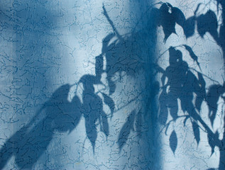 silhouette of leaves and branches on a blue curtain, curtains or tulle on the background of the sun